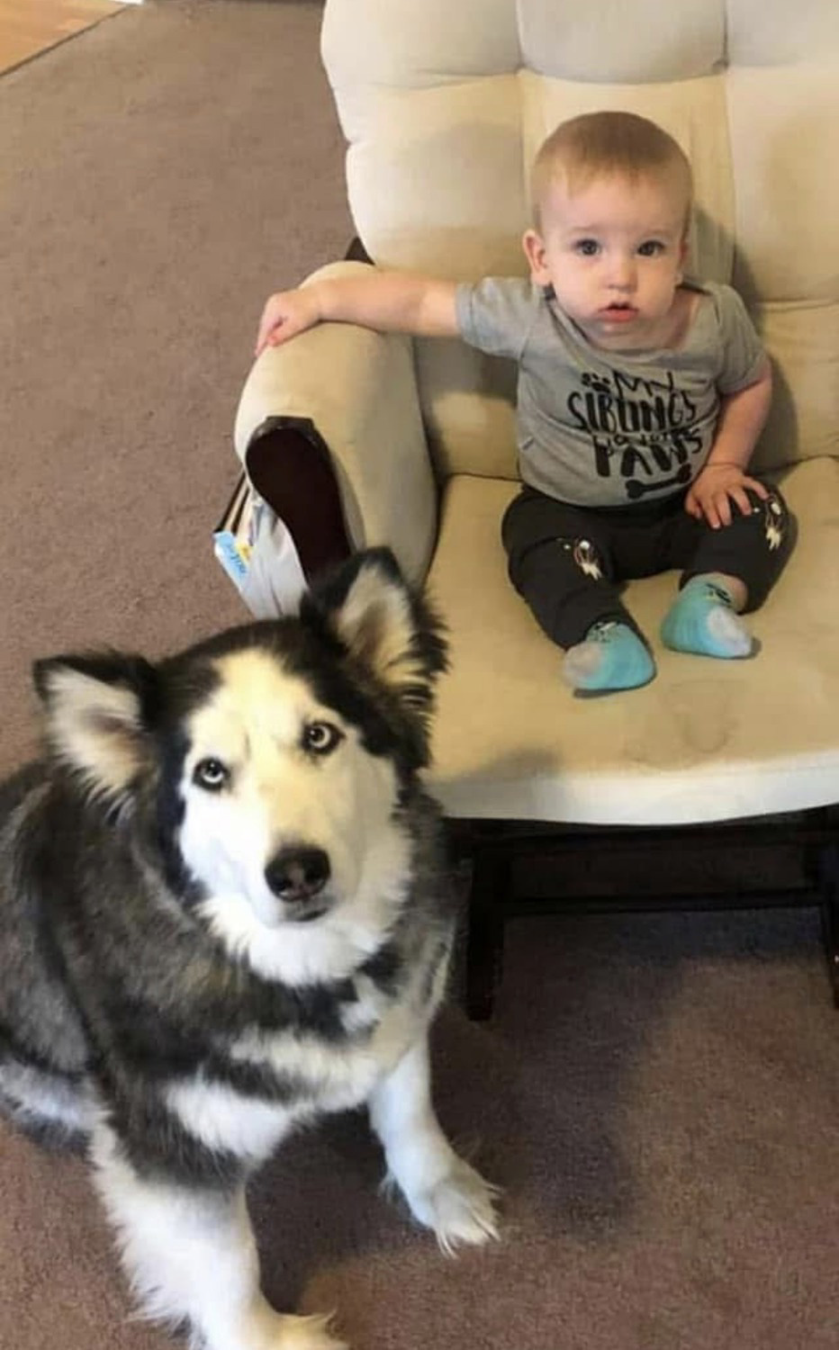 Baby with Husky dog